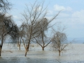 Prachtig Lake Baringo