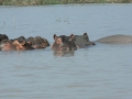 Prachtig Lake Baringo