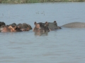 Prachtig Lake Baringo