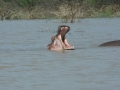 Prachtig Lake Baringo