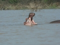 Prachtig Lake Baringo