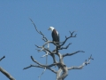 Prachtig Lake Baringo
