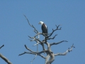 Prachtig Lake Baringo