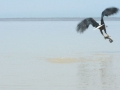 Prachtig Lake Baringo