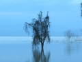 Prachtig Lake Baringo