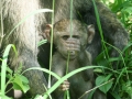 Lake Nakuru met park en omgeving