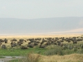 De Ngorongoron krater van een vulkaan en omgeving