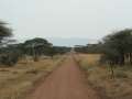 National Park Serengeti