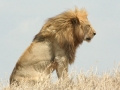 National Park Serengeti